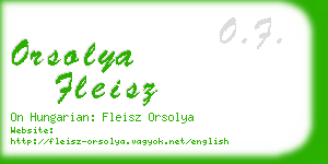 orsolya fleisz business card